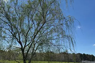 12740 Jarvis Rd, Bishopville, MD 21813 - Photo 4