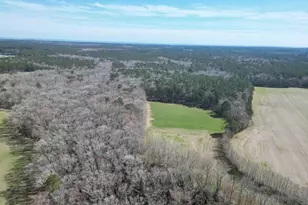 0 Blake Rd, Snow Hill, MD 21863 - Photo 1