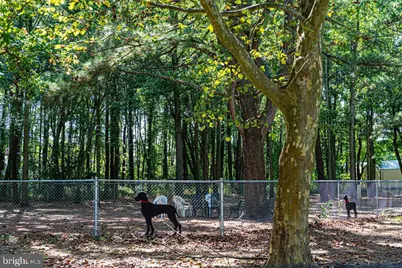 414 Ocean Pkwy, Ocean Pines, MD 21811 - Photo 98