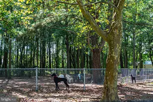 414 Ocean Pkwy, Ocean Pines, MD 21811 - Photo 98