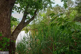 7 Alden Ct, Ocean Pines, MD 21811 - Photo 64