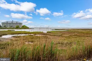 120 71st St, Ocean City, MD 21842 - Photo 36