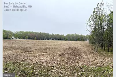 10164 Rabbit Ridge Road, Bishopville, MD 21813 - Photo 8