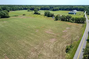 Dinges Rd, Berlin, MD 21811 - Photo 4