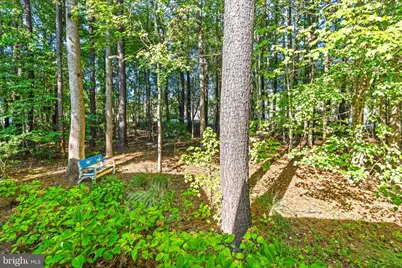 7 Brush Island Court, Ocean Pines, MD 21811 - Photo 36