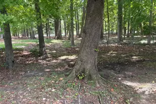122 Skipjack Cir, Berlin, MD 21811 - Photo 8