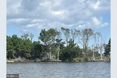 Corn Hammock Island, Bishopville, MD 21813 - Photo 4