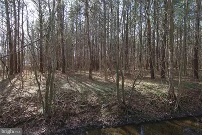 007 Libertytown Road, Berlin, MD 21811 - Photo 66