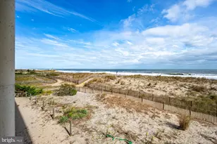 3801 Atlantic Ave, Ocean City, MD 21842 - Photo 30