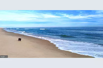 24171 Adelaide Street, Parksley, VA 23421 - Photo 40