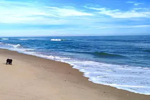 24171 Adelaide St, Parksley, VA 23421 - Photo 40