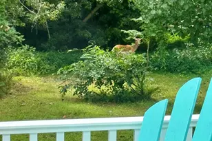 3618 Willow St, Chincoteague Island, VA 23336 - Photo 22