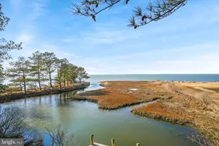 4443 Shady Ln, Chincoteague Island, VA 23336 - Photo 50