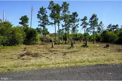 Lot 19E Oak Drive, Chincoteague Island, VA 23336 - Photo 2