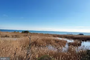 Lot 720 Castaway Dr, Greenbackville, VA 23356 - Photo 8