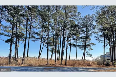 Lot 720 Castaway Drive, Greenbackville, VA 23356 - Photo 10