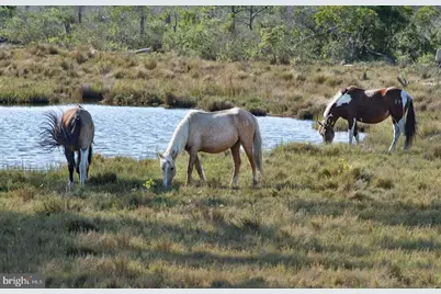 Lot 243 Dolphin Drive, Greenbackville, VA 23356 - Photo 30