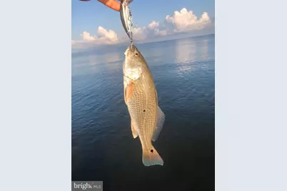 24227 Thicket Point Lane, Onancock, VA 23417 - Photo 88