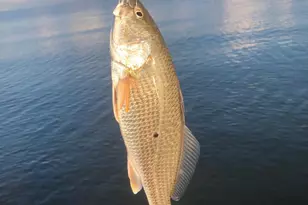 24227 Thicket Point Ln, Onancock, VA 23417 - Photo 88