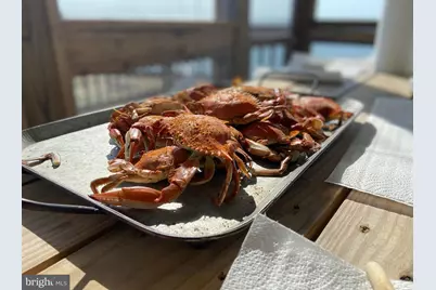 24227 Thicket Point Lane, Onancock, VA 23417 - Photo 84