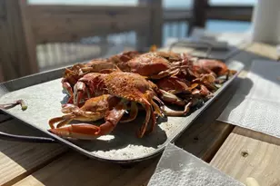 24227 Thicket Point Ln, Onancock, VA 23417 - Photo 84