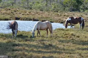 Lot 64 Davey Jones Blvd, Greenbackville, VA 23356 - Photo 52