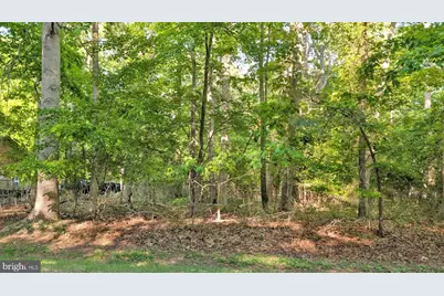 Lot 2466 Bounty Court, Greenbackville, VA 23356 - Photo 2