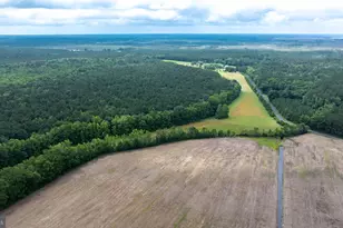 25367 Messongo Rd, Temperanceville, VA 23442 - Photo 102
