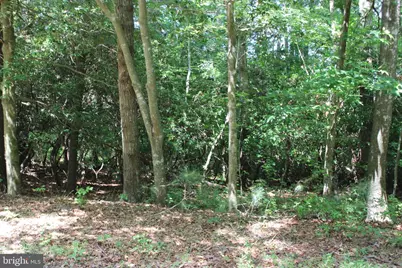 1950 Buccaneer Boulevard, Greenbackville, VA 23356 - Photo 1