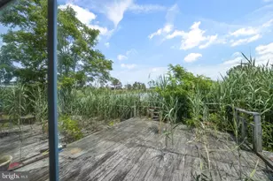 8145 Seashell Dr, Chincoteague, VA 23336 - Photo 30