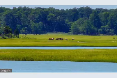 7550 Eastside Road, Chincoteague Island, VA 23336 - Photo 12