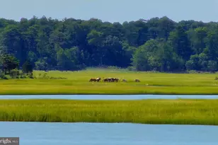 7550 East Side Rd, Chincoteague Island, VA 23336 - Photo 12