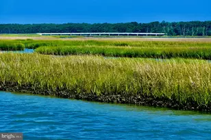 7550 East Side Rd, Chincoteague Island, VA 23336 - Photo 32