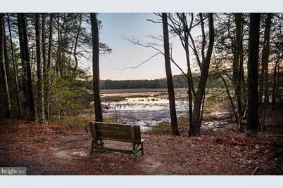 Lot 2067 Mayflower Drive, Greenbackville, VA 23356 - Photo 12