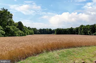 2459 Dunbrooke Rd, Tappahannock, VA 22560 - Photo 84