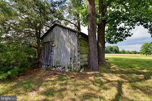 2459 Dunbrooke Rd, Tappahannock, VA 22560 - Photo 134