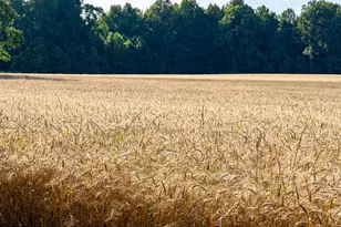 2459 Dunbrooke Rd, Tappahannock, VA 22560 - Photo 86