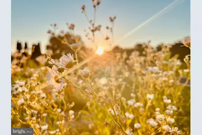 2459 Dunbrooke Road, Tappahannock, VA 22560 - Photo 118