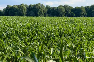 2459 Dunbrooke Rd, Tappahannock, VA 22560 - Photo 86