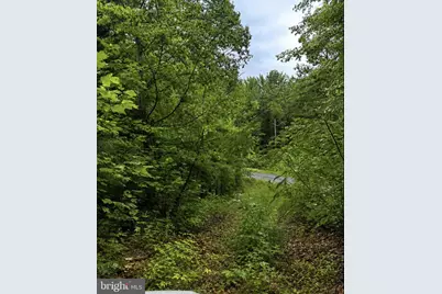 448 Pilkington Rd, Hustle, VA 22476 - Photo 4