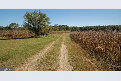 Ullainee Road, Caret, VA 22436 - Photo 14