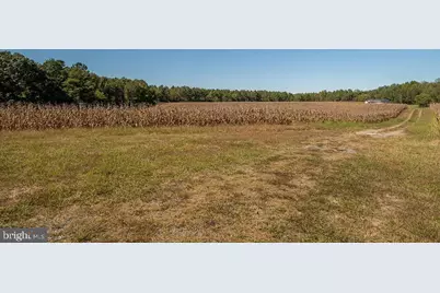 Ullainee Road, Caret, VA 22436 - Photo 12