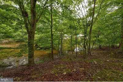 Jefferson Drive, Palmyra, VA 22963 - Photo 4