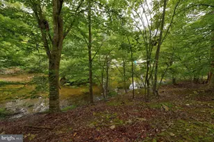 Jefferson Dr, Palmyra, VA 22963 - Photo 4