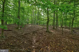 Jefferson Dr, Palmyra, VA 22963 - Photo 6