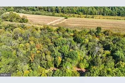 14 Mechunk Terrace, Palmyra, VA 22963 - Photo 10