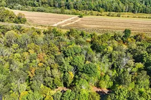 14 Mechunk Terrace, Palmyra, VA 22963 - Photo 10