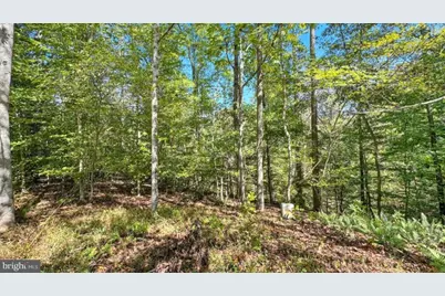 14 Mechunk Terrace, Palmyra, VA 22963 - Photo 8