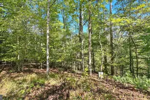 14 Mechunk Terrace, Palmyra, VA 22963 - Photo 8