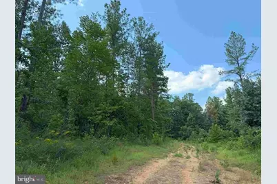 Dogwood Drive (Tract: Jr Bedford-Bowles_Sim-3), Columbia, VA 23038 - Photo 6